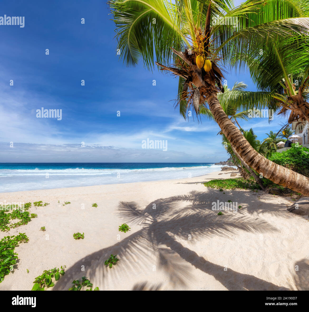 Spiaggia del paradiso. Foto Stock