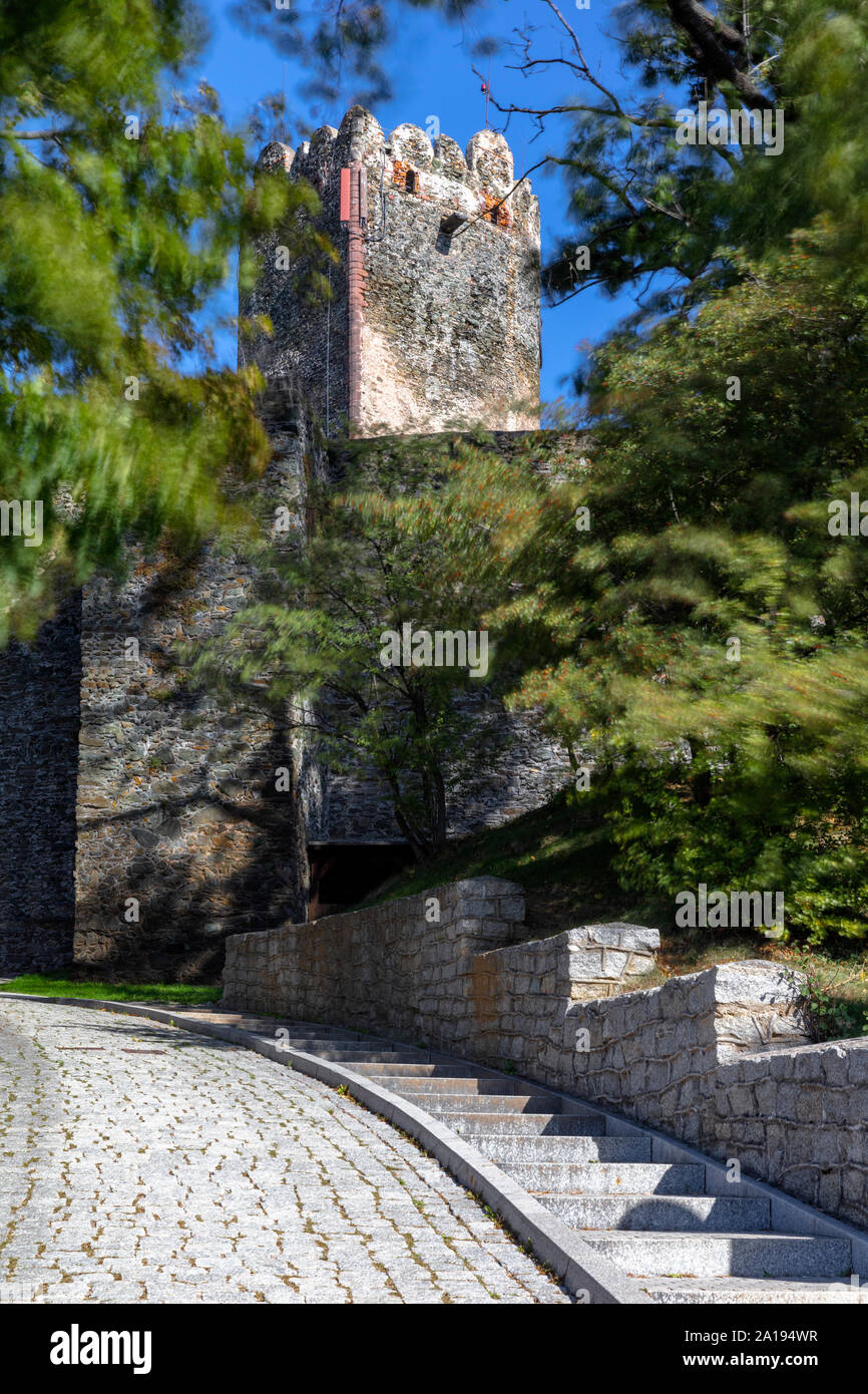 Resti del castello medievale del XIII secolo in Bolkow, Slesia, Polonia Foto Stock