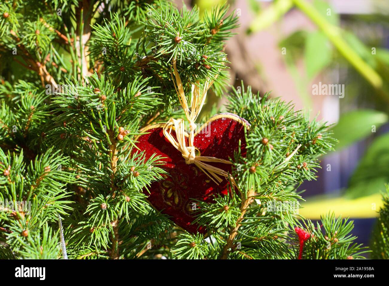 Vacanza in rosso e bianco vintage decorazioni su un abete per Natale Foto Stock