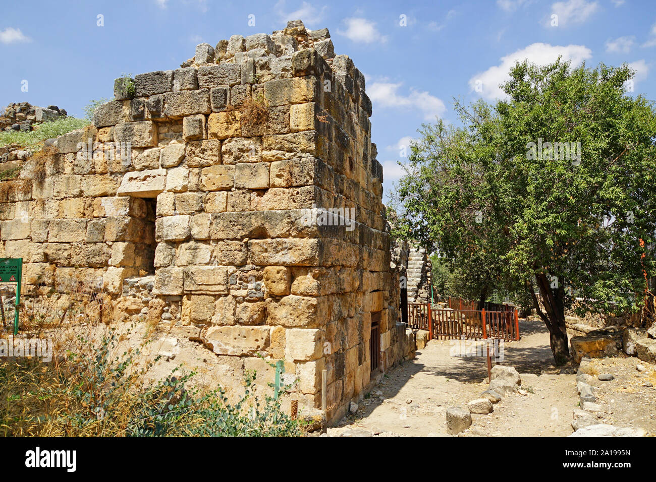 Una moschea deserte all'Hermon Stream riserva naturale (Banias) Golan Israele Foto Stock