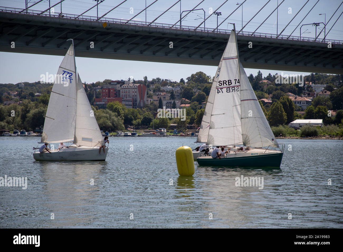 Belgrado, Serbia, Agosto 18, 2019: Tre-persona scuderie concorrenti nella classe Micro regata a vela sul fiume Sava Rive Foto Stock