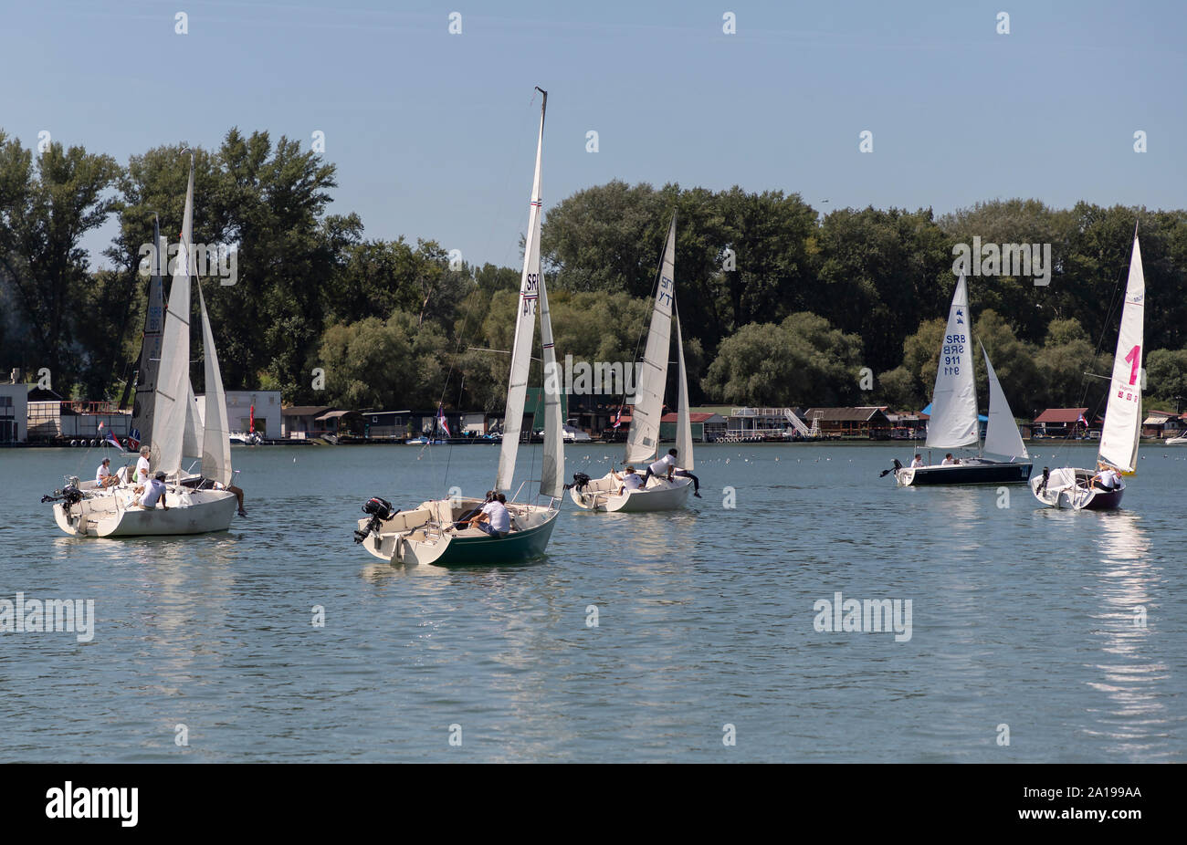 Belgrado, Serbia, Agosto 18, 2019: Tre-persona scuderie concorrenti nella classe Micro regata a vela sul fiume Sava Rive Foto Stock