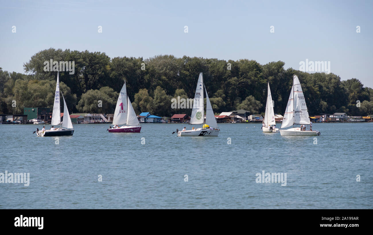 Belgrado, Serbia, Agosto 18, 2019: Tre-persona scuderie concorrenti nella classe Micro regata a vela sul fiume Sava Rive Foto Stock