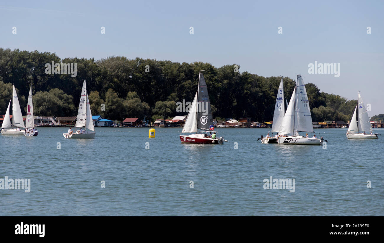 Belgrado, Serbia, Agosto 18, 2019: Tre-persona scuderie concorrenti nella classe Micro regata a vela sul fiume Sava Rive Foto Stock