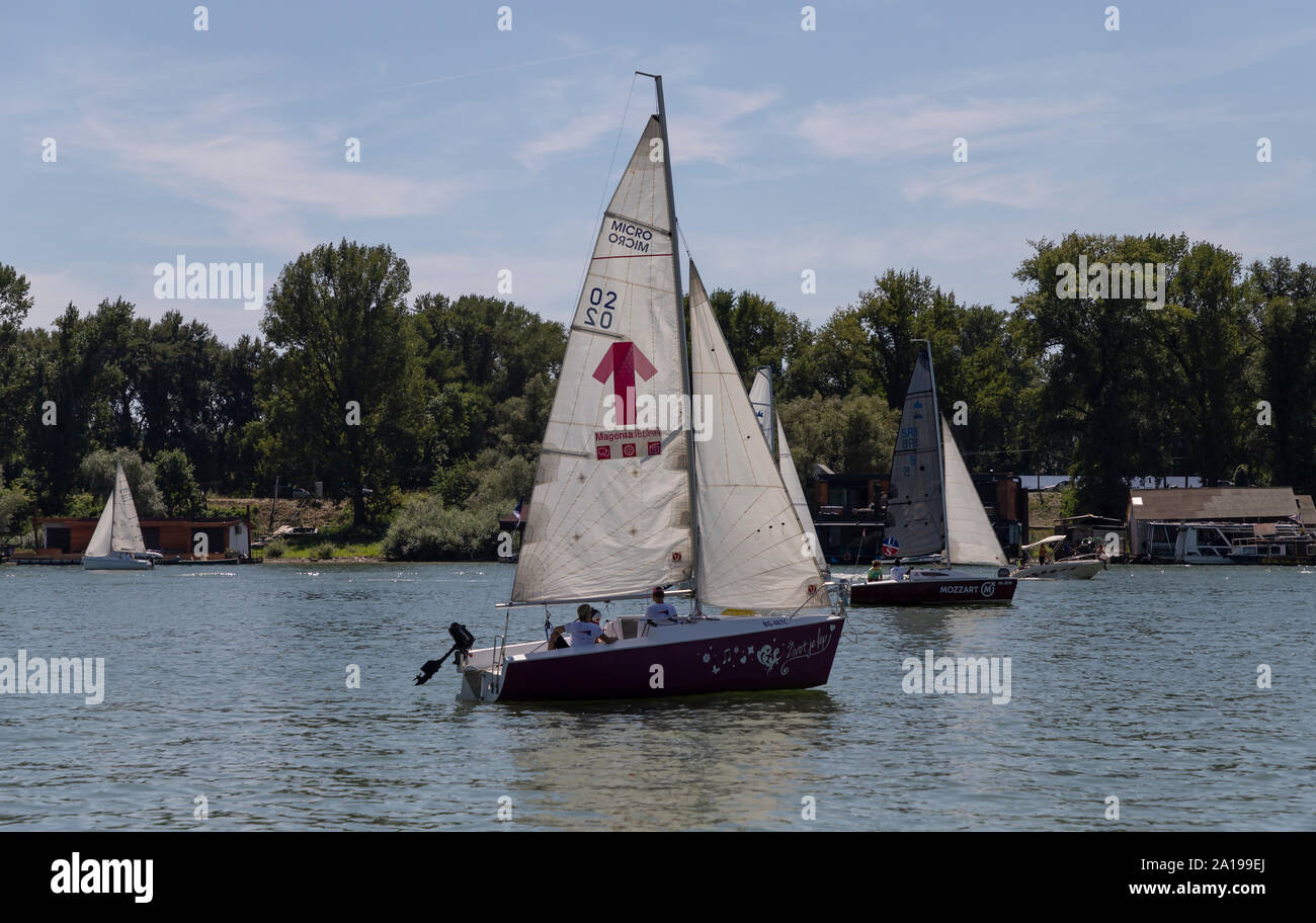 Belgrado, Serbia, Agosto 18, 2019: Tre-persona scuderie concorrenti nella classe Micro regata a vela sul fiume Sava Rive Foto Stock