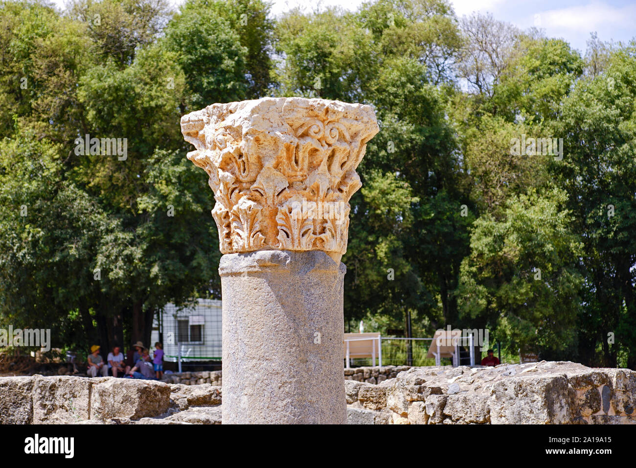 Il Palazzo di Agrippa II a partire dal primo secolo CE, rimane all'entrata principale. Fotografato all'Hermon Stream riserva naturale e reperti archeologici Foto Stock