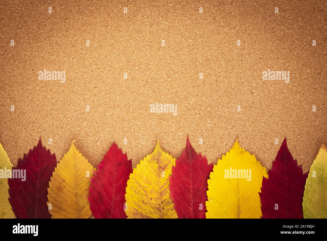 Telaio di autunno con copia spazio su legno marrone dello sfondo. Applique di rosso e giallo caduta foglie. Composizione del fogliame. Parete in cartone. Vista dall'alto. Fla Foto Stock