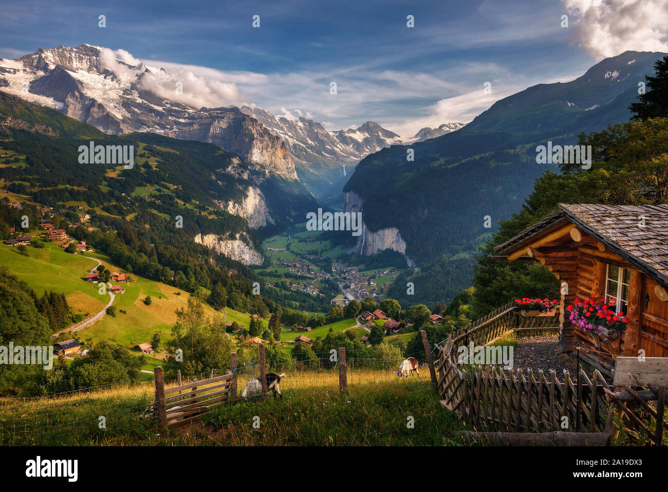 Valle di Lauterbrunnen nelle Alpi Svizzere visto dal villaggio alpino di Wengen Foto Stock