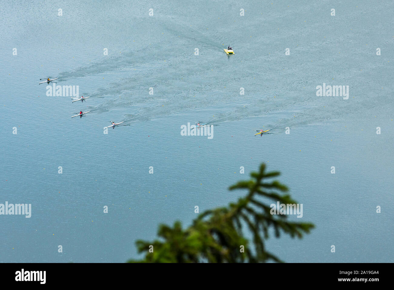 Il canottaggio concorrenza da parte di sopra, lago di Bled in Slovenia Foto Stock