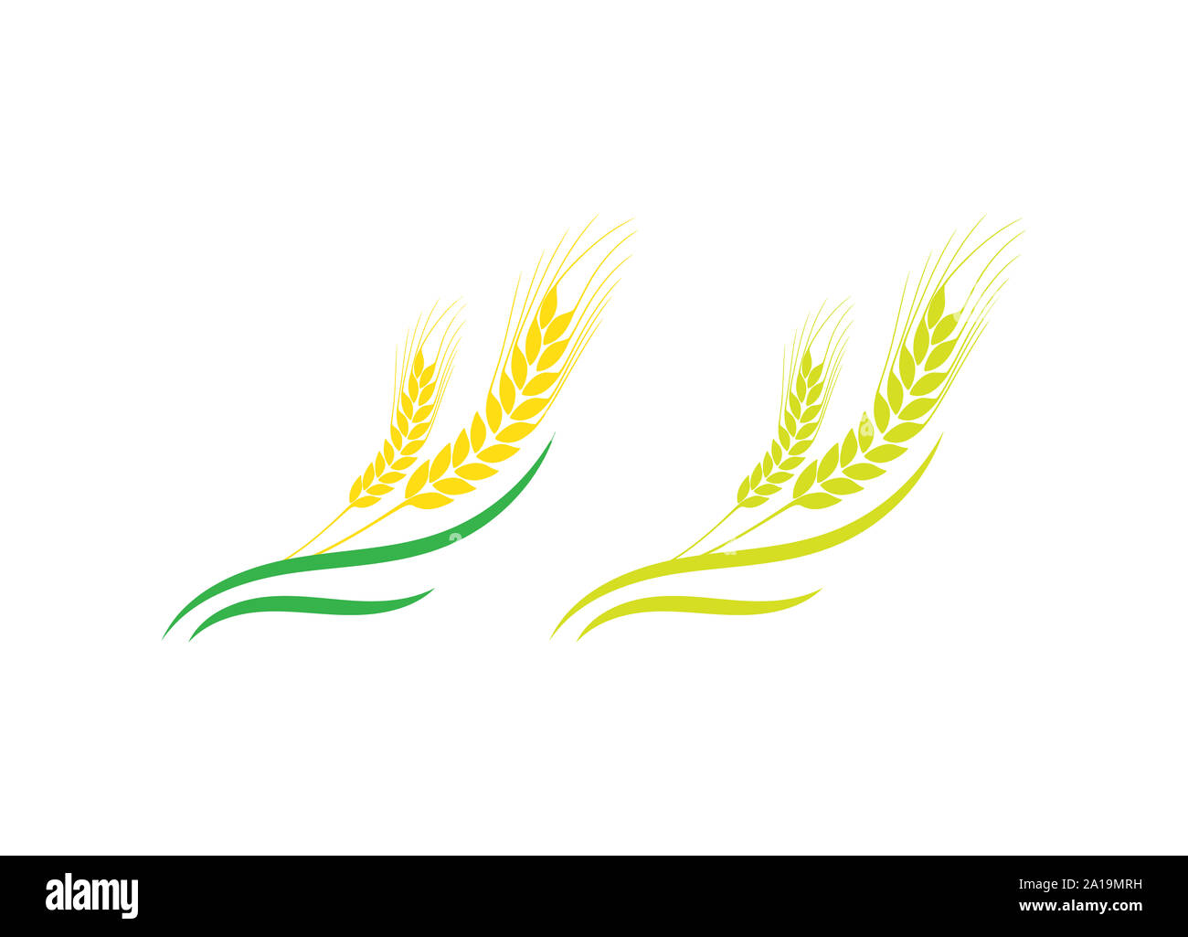 Agricoltura Logo grano modello icona vettore design, spighe di grano, orzo o vettore di segale visual icone grafiche, icona dell'agricoltura. Foto Stock