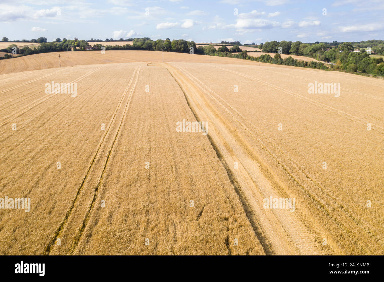 Foto aerea tempo del raccolto Foto Stock