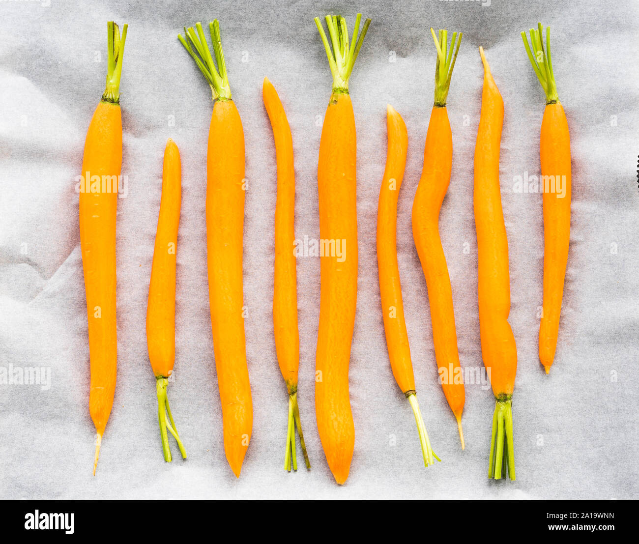 Le carote sulla carta da forno preparate per la cottura alla griglia in stufa Foto Stock
