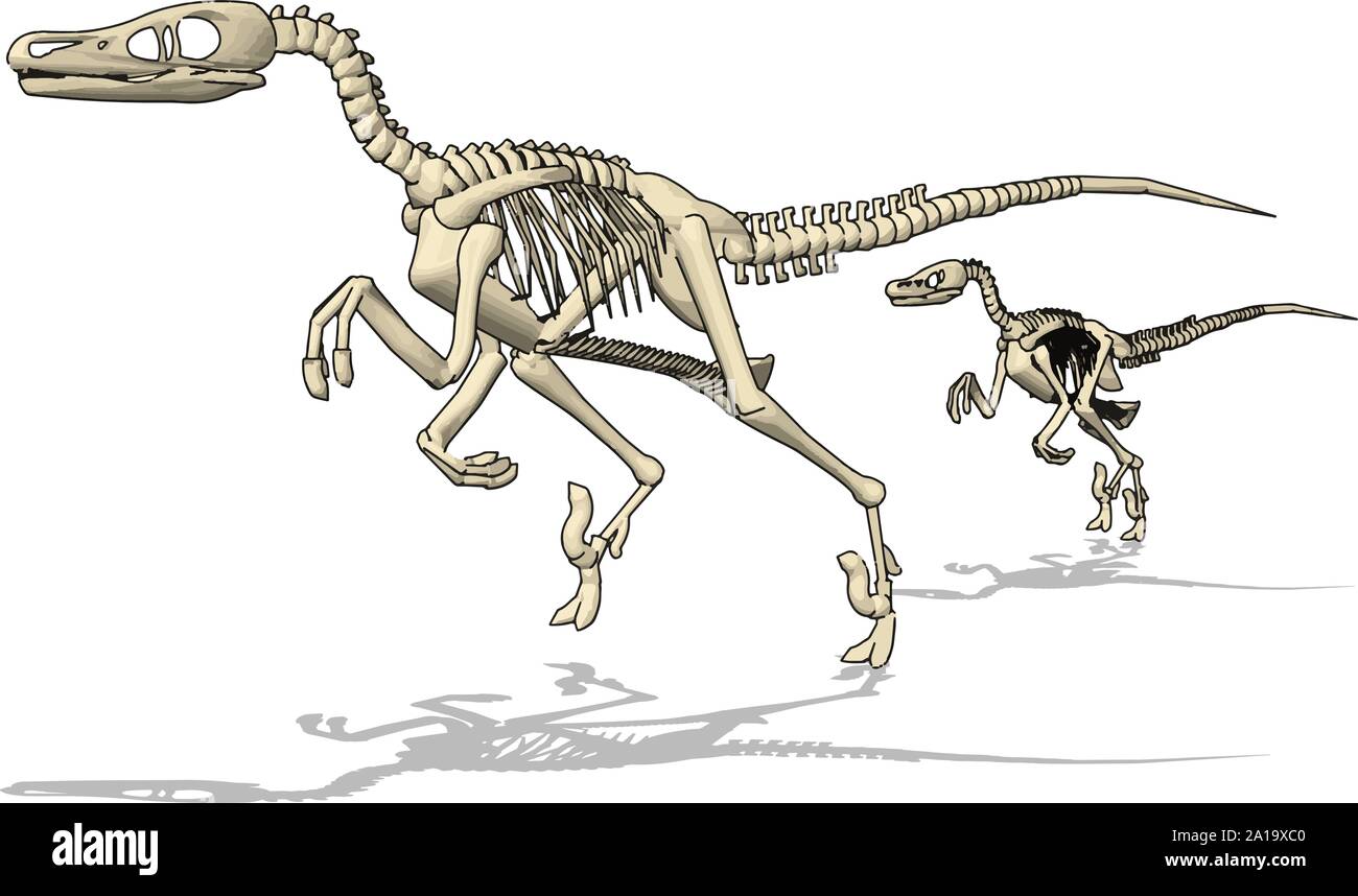 Dino skelet, illustrazione vettore su sfondo bianco. Illustrazione Vettoriale