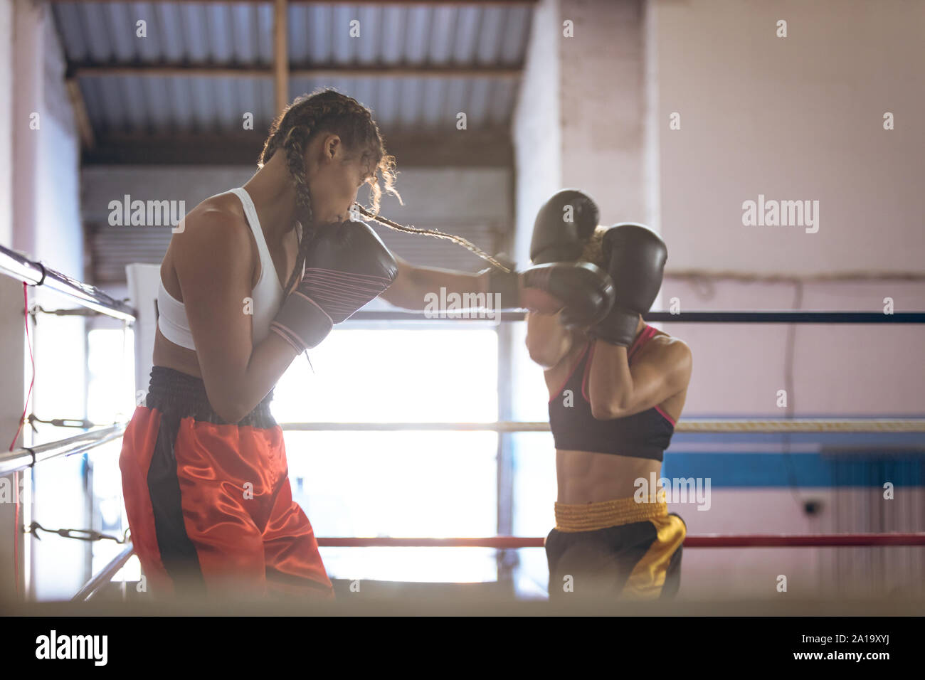 I boxer femmina combattimenti nel pugilato ring al centro fitness Foto Stock