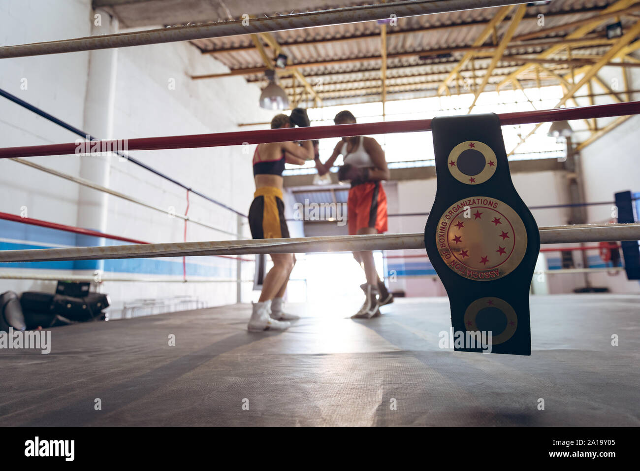 I boxer femmina combattimenti nel pugilato ring al centro fitness Foto Stock