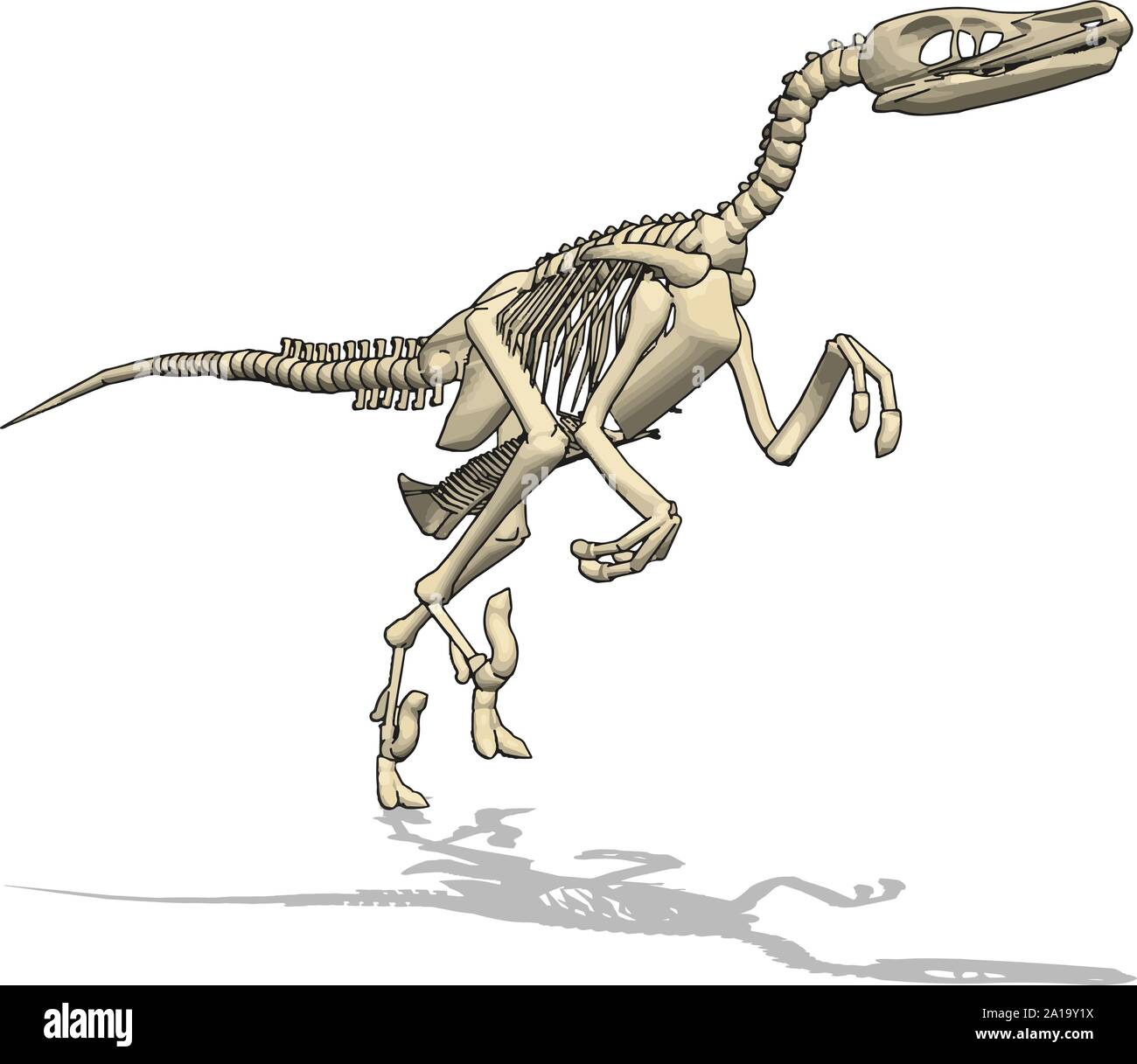 Dino skelet, illustrazione vettore su sfondo bianco. Illustrazione Vettoriale