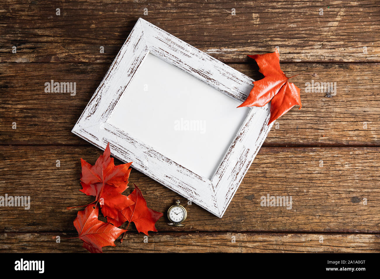 Autunno laici piatta con cornice fotografica Foto Stock