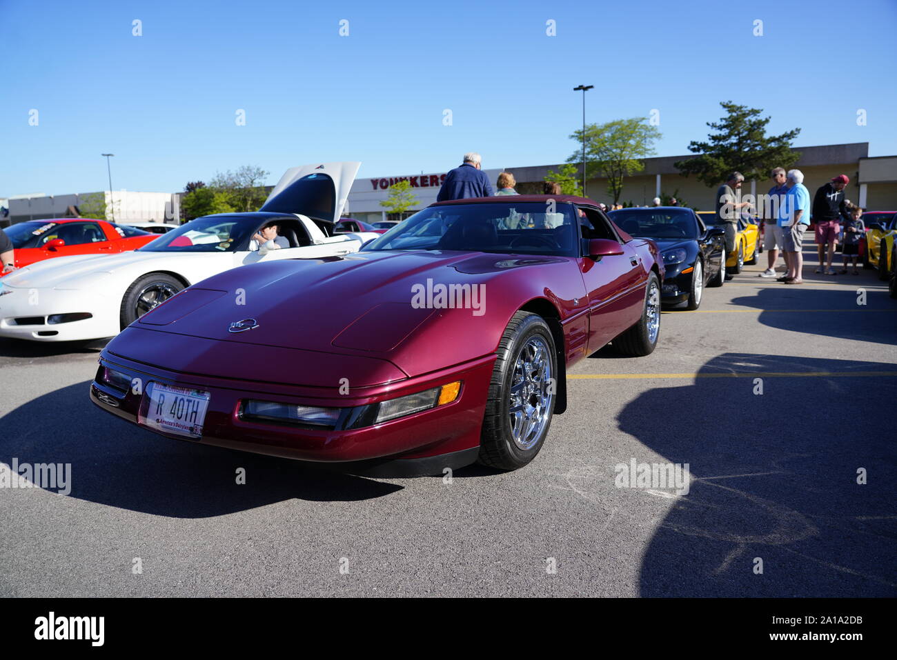 Molti proprietari di Chevrolet Corvette di 1960 al 2010 è venuto fuori a fare un giro in Corvette viaggio intorno al lago di manifestazione itinerante, Fond du Lac, Wisconsin Foto Stock