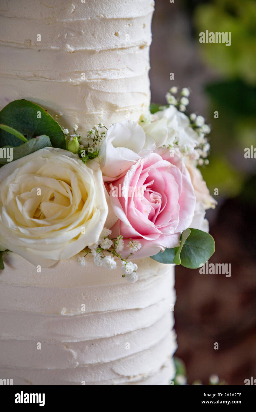 Close up dettaglio della torta decorata con rose e Gypsophila Foto Stock