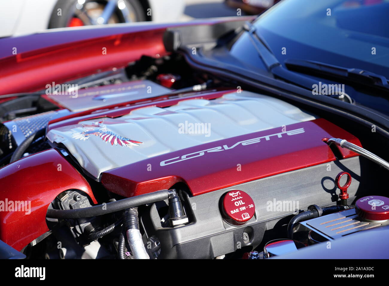 Molti proprietari di Chevrolet Corvette di 1960 al 2010 è venuto fuori a fare un giro in Corvette viaggio intorno al lago di manifestazione itinerante, Fond du Lac, Wisconsin Foto Stock