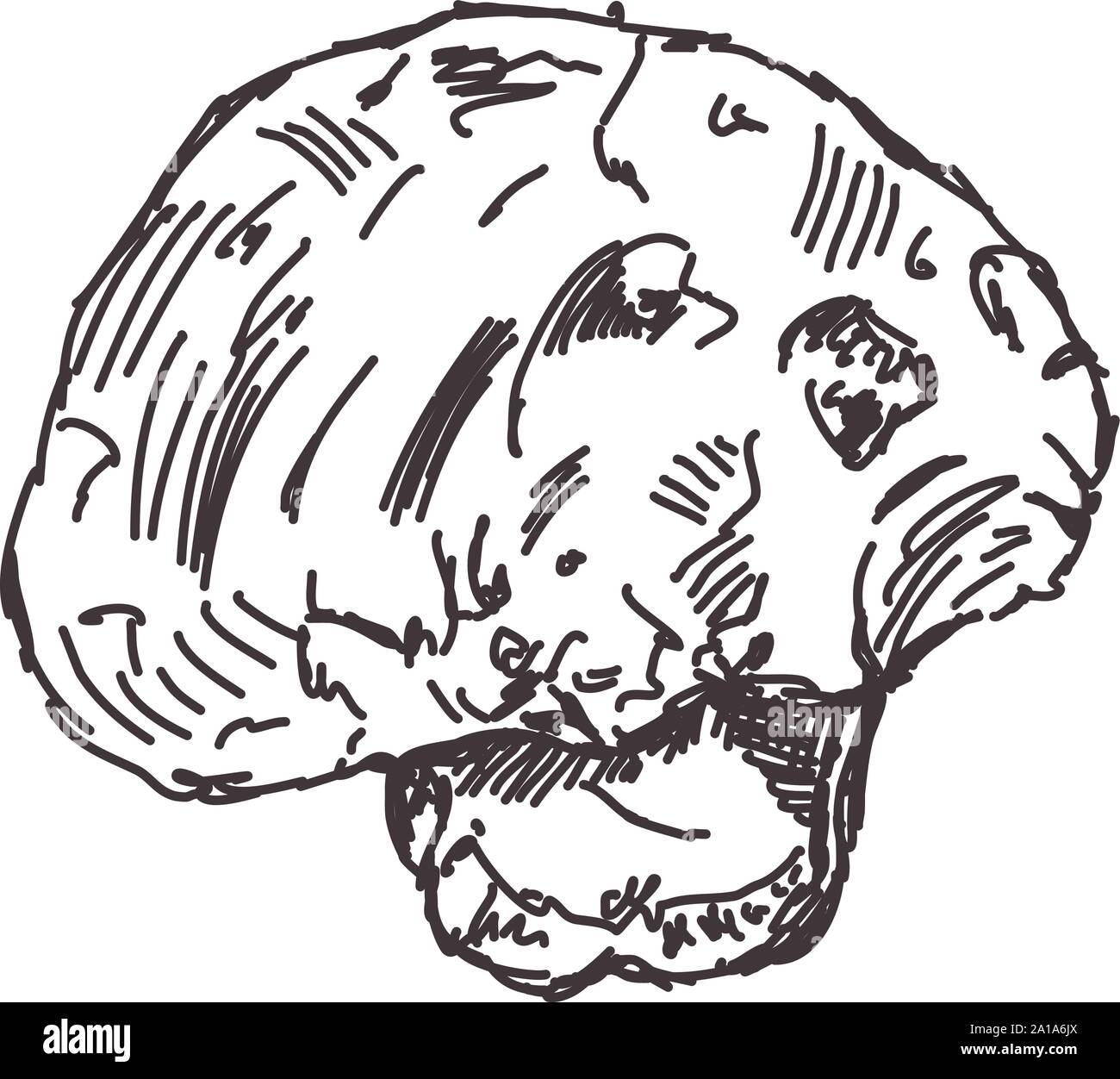 Disegno Beafstick, illustrazione vettore su sfondo bianco. Illustrazione Vettoriale