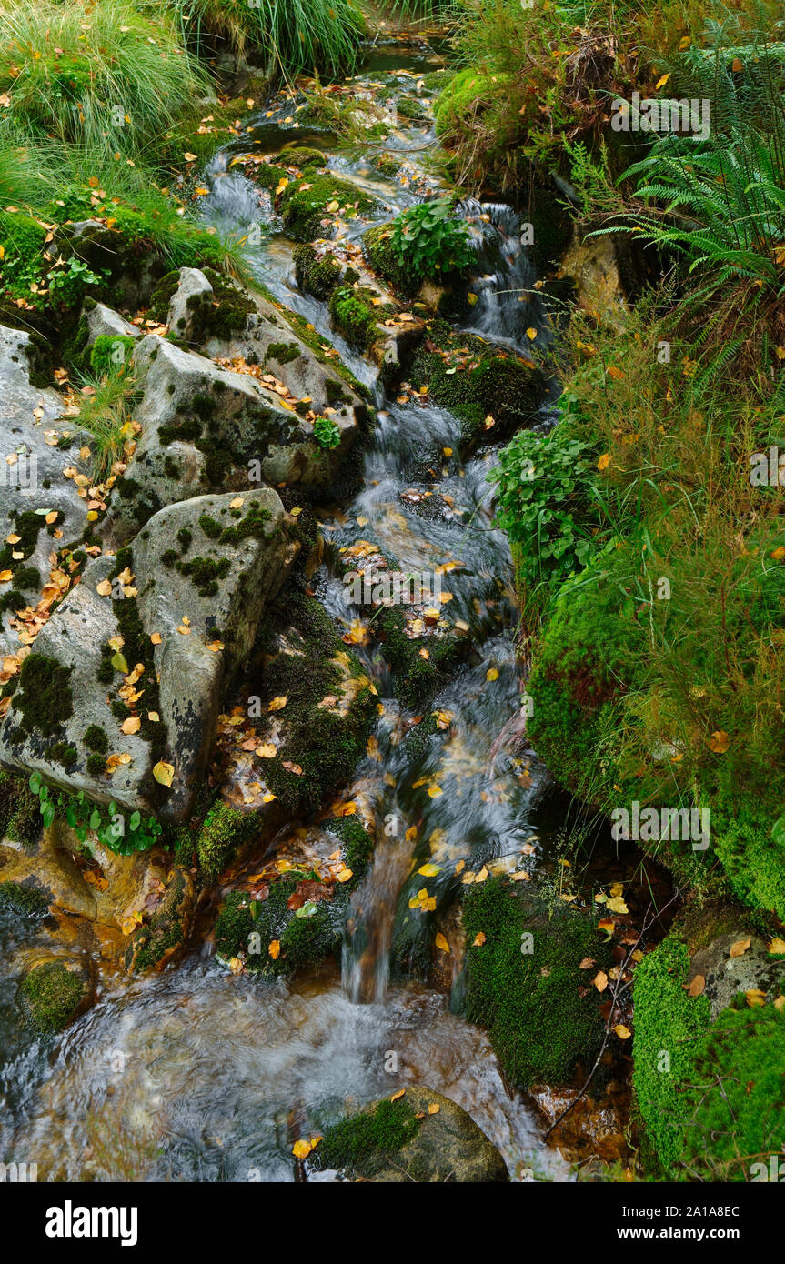Il fiume e i colori autunnali nella Serra da Gardunha. São Pedro do Sul - Portogallo Foto Stock