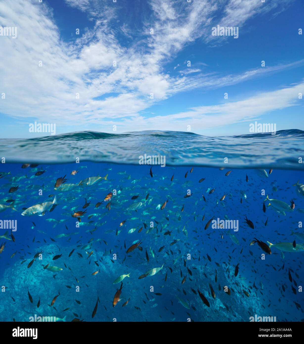 Paesaggio marino del Mar Mediterraneo, molti pesci sott'acqua e cielo blu con nuvole, vista suddivisa al di sopra e al di sotto della superficie dell'acqua, Francia, Occitanie Foto Stock