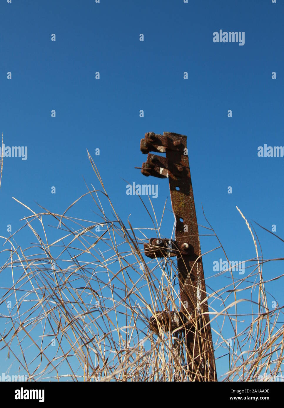 Un ferro arrugginito palo di recinzione in un campo Foto Stock