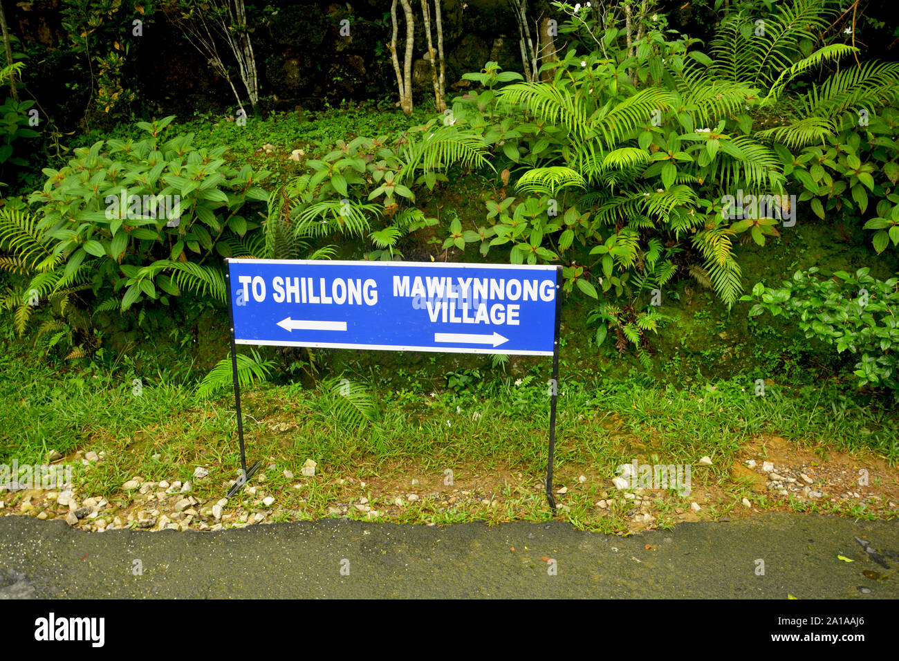 Un cartello che mostra il modo di Shillong e Mawlynnong villaggio con sfondo blu sul lato strada con bellissimi alberi e piante Foto Stock