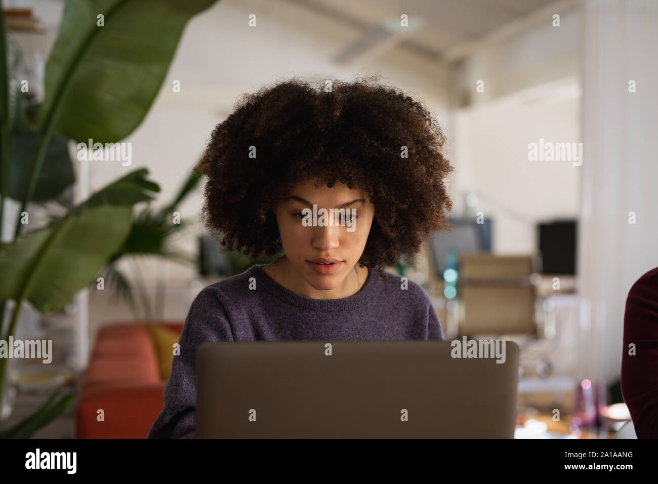 Giovani femmine creative in un ufficio Foto Stock