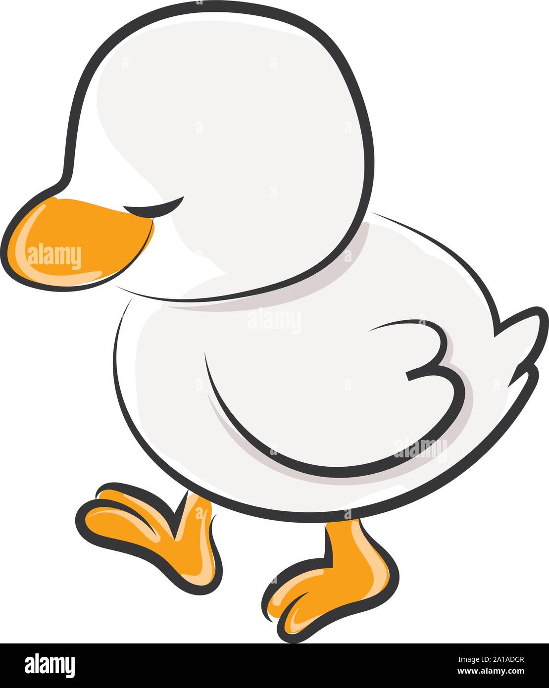 White duck, illustrazione vettore su sfondo bianco. Illustrazione Vettoriale