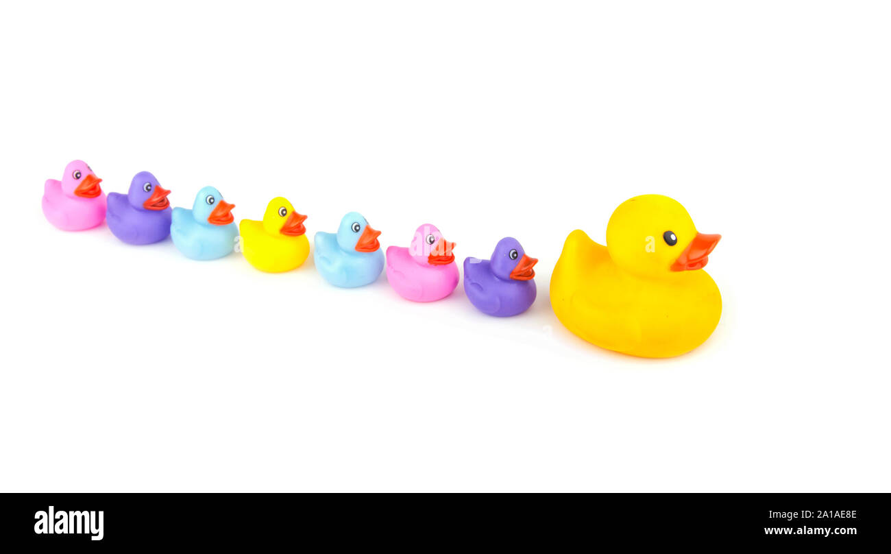 Big rubber duck portando una linea di poca gomma anatroccoli, su bianco - concetto di leadership Foto Stock