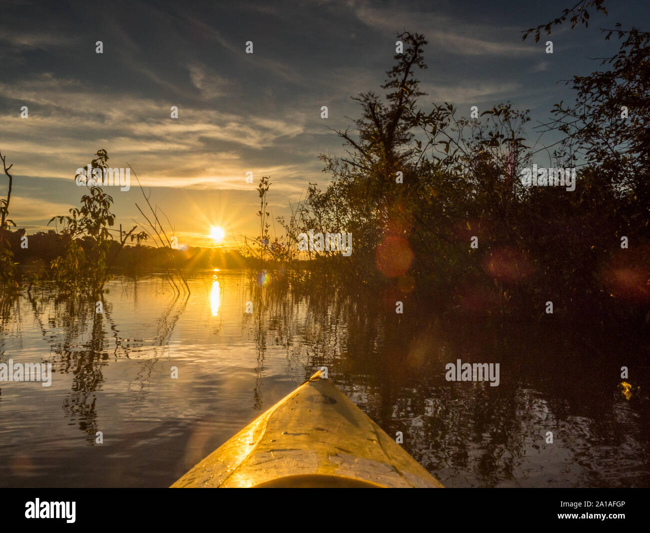 Amazonia. Vista tramonto visto dal kayak. Coati laguna vicino il fiume Javari, tributario del fiume Rio delle Amazzoni. Selva sul confine del Brasile e pe Foto Stock