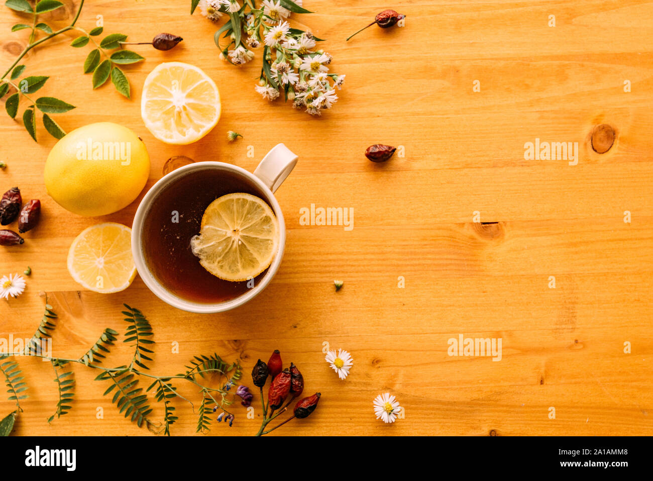 Rosa Mosqueta tè alle erbe laici flat top view con fettina di limone sul tavolo di legno Foto Stock