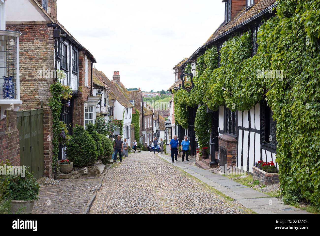 Segale, East Sussex, Inghilterra, 2019. Foto di Akira Suemori Foto Stock