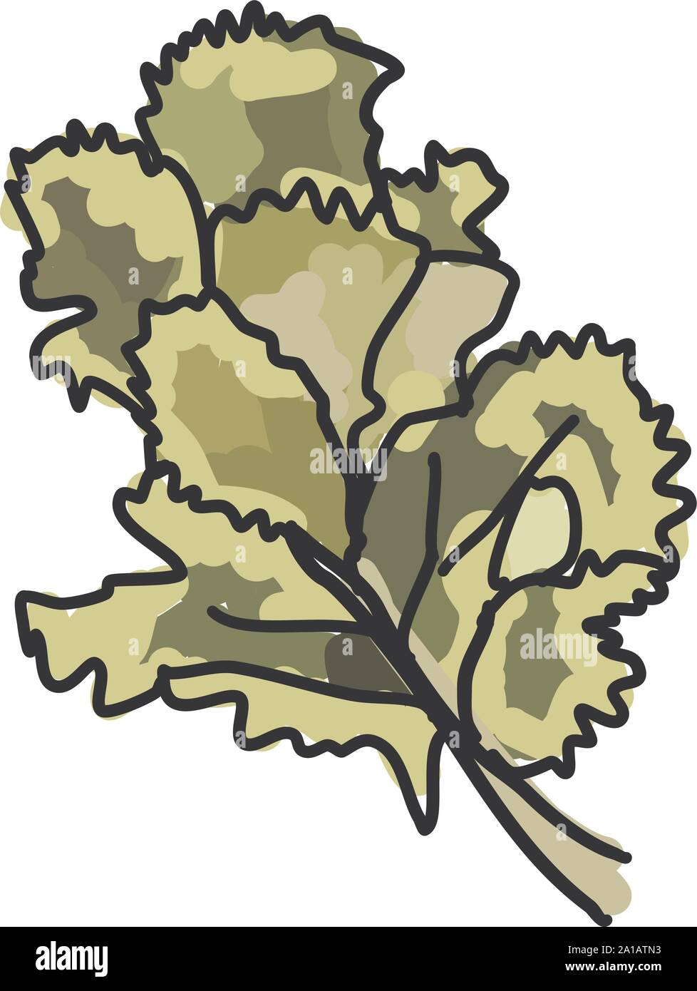 Il coriandolo, illustrazione, vettore su sfondo bianco. Illustrazione Vettoriale