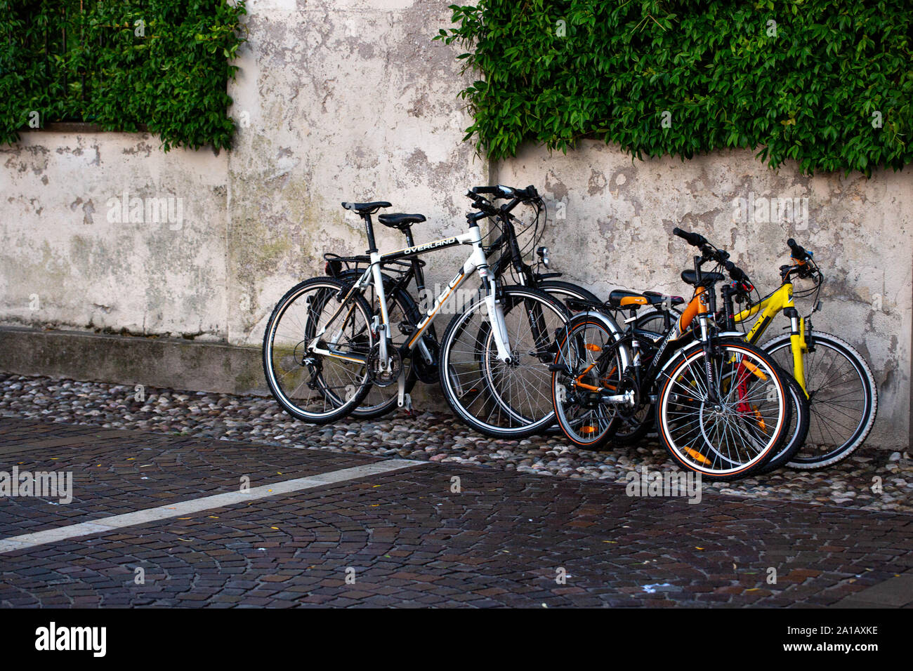 GARDA LAGO DI GARDA, Italia - 12 August 2019: fila di biciclette parcheggiate vicino la siepe in Garda sul Lago di Garda Foto Stock