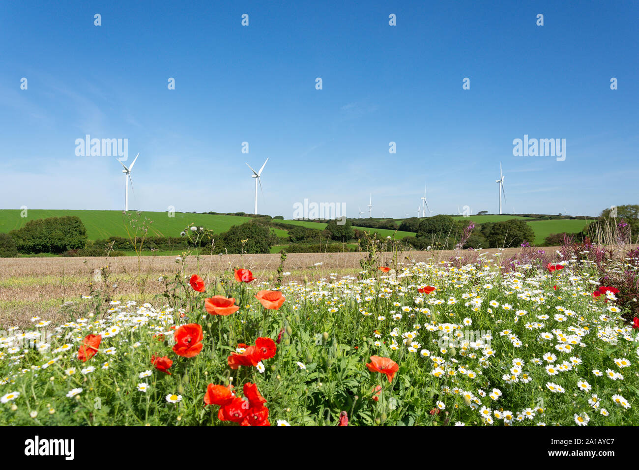 Le turbine eoliche in campi, vicino Braunton, Devon, Inghilterra, Regno Unito Foto Stock