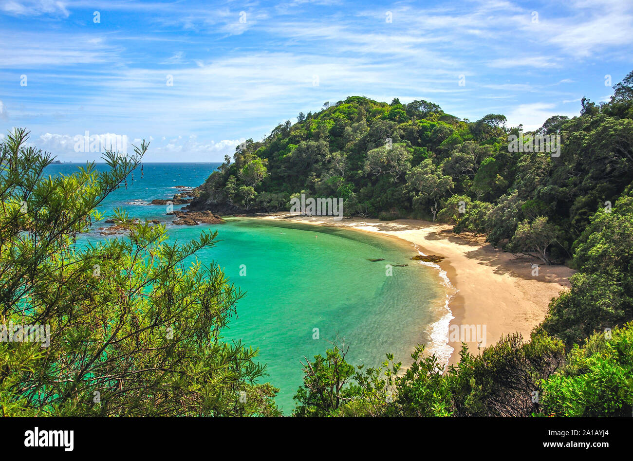 La Baia della Balena, Tutukaka Costa, regione di Northland, Isola del nord, Nuova Zelanda Foto Stock