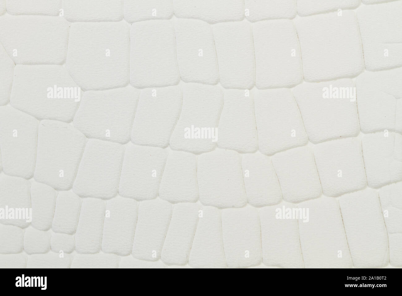 Un bianco panno in pelle di rettile con texture in una vista ravvicinata Foto Stock
