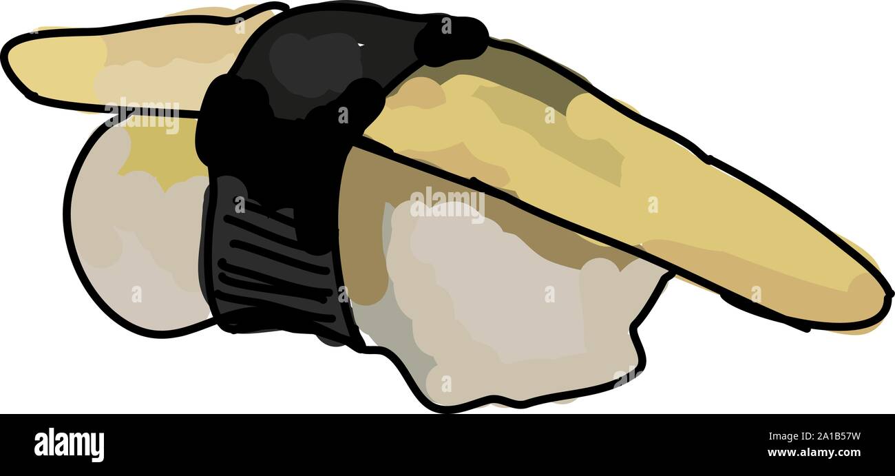 Aringa roe, illustrazione vettore su sfondo bianco. Illustrazione Vettoriale