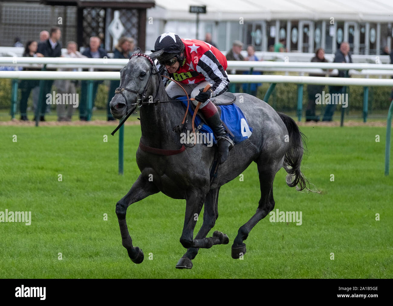 Warwick Racecourse, Warwick Regno Unito Foto Stock