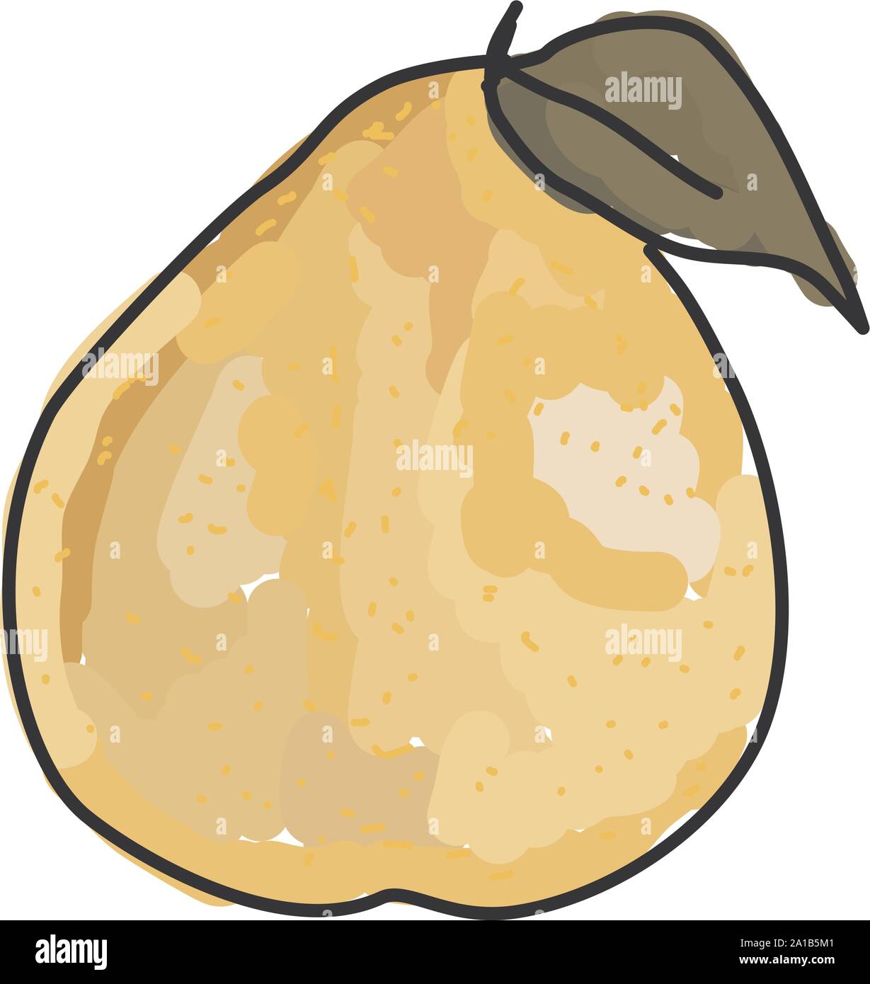 Giallo pomelo, illustrazione vettore su sfondo bianco. Illustrazione Vettoriale