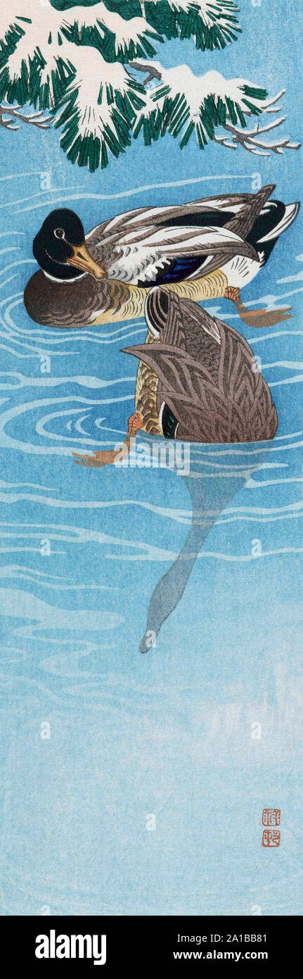 Due anatre selvatiche nell'acqua, dall'artista giapponese Ohara Koson, 1877 - 1945. Ohara Koson era parte della shin-hanga, o nuove stampe di movimento. Foto Stock