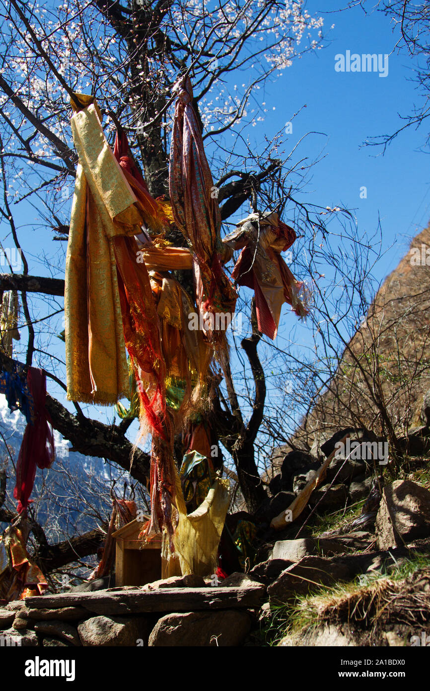 Fazzoletti rossi immagini e fotografie stock ad alta risoluzione - Alamy