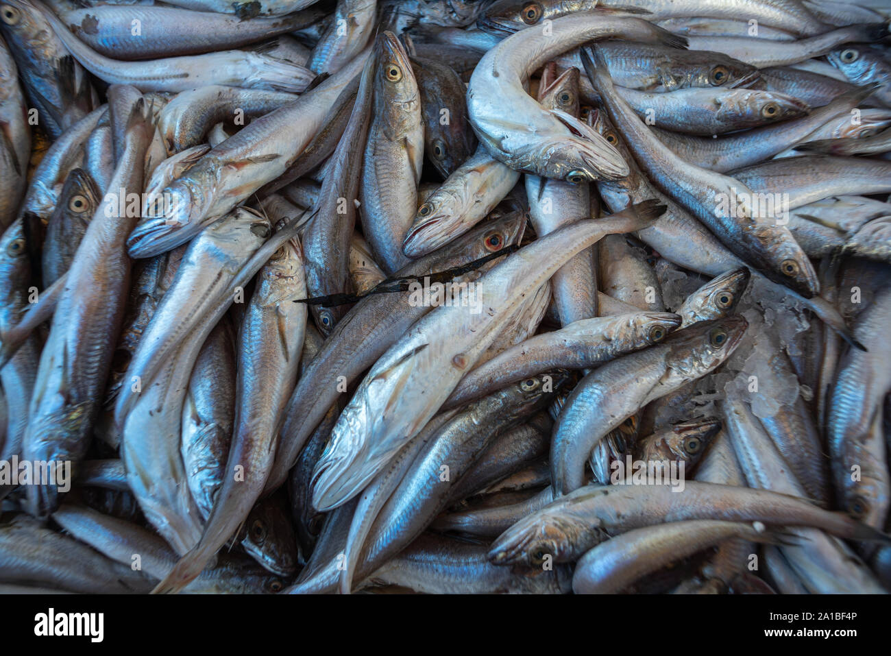 mercato del pesce Foto Stock