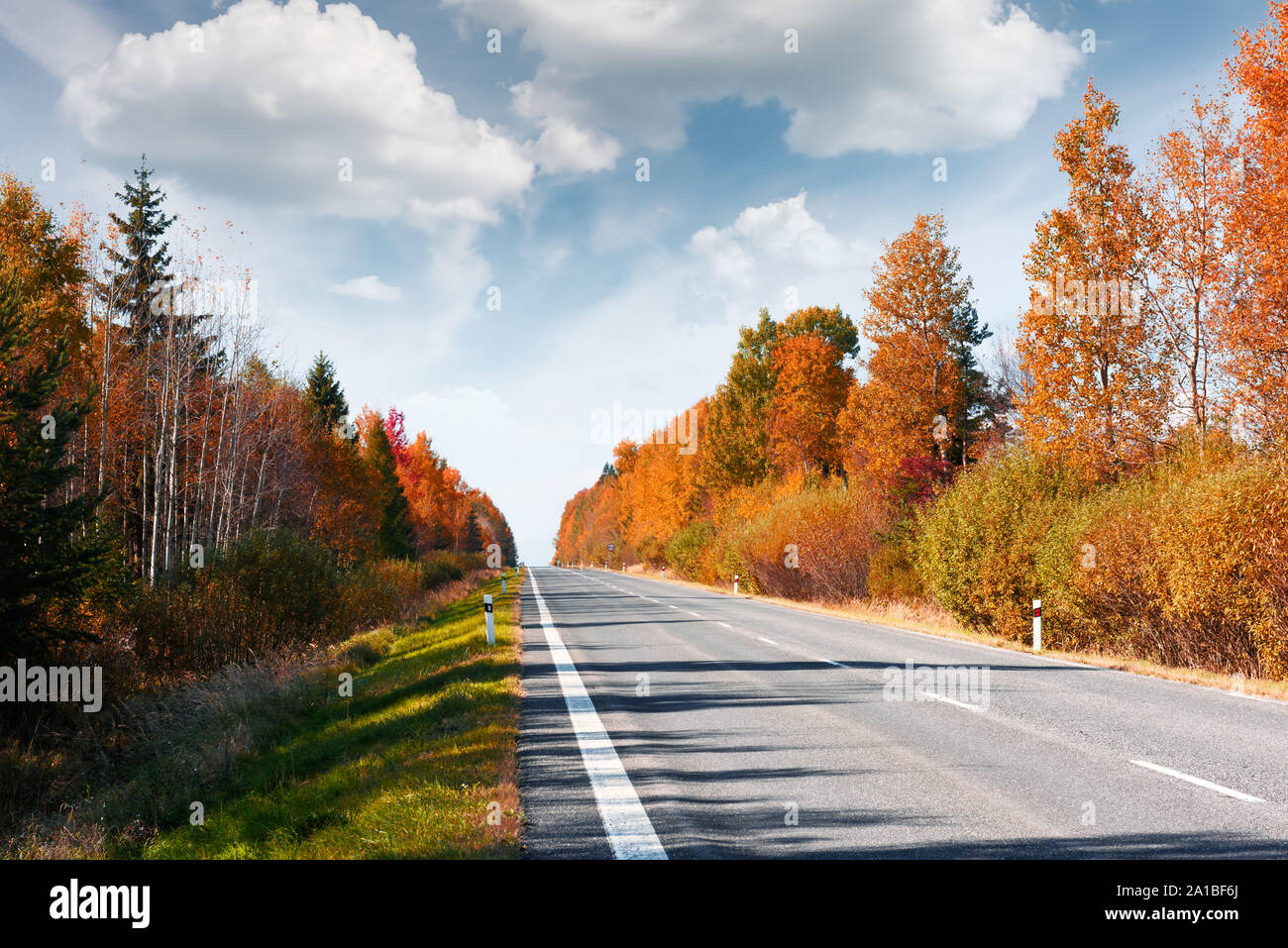 Incredibile paesaggio autunnale con road, arancione bosco di larici e cielo molto nuvoloso in background Foto Stock