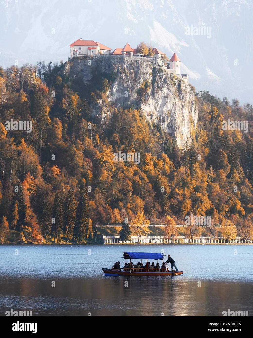 Vista la mattina su Blejski grad - castello di Bled sul lago di Bled in Alpi Giulie, Slovenia Foto Stock