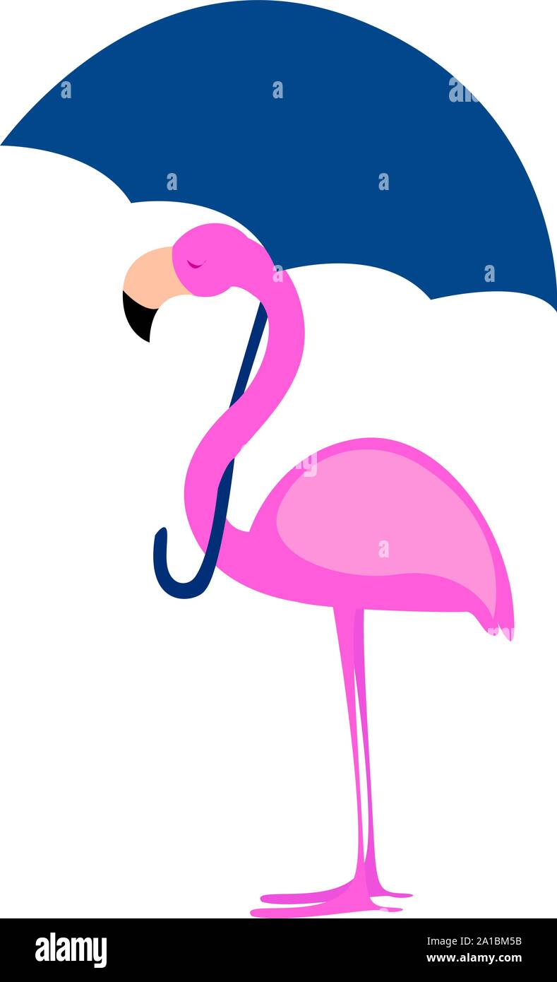 Flamingo con ombrellone, illustrazione vettore su sfondo bianco Immagine e  Vettoriale - Alamy
