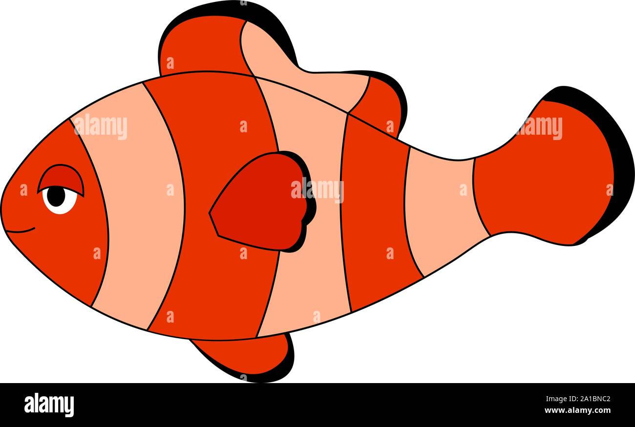 Pesce pagliaccio, illustrazione vettore su sfondo bianco. Illustrazione Vettoriale